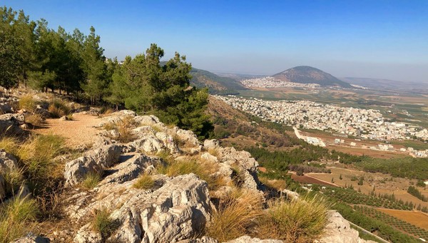 Mount Precipice